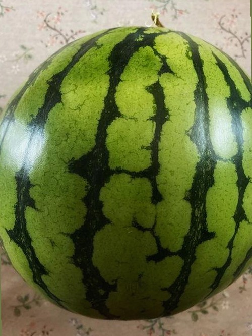 娱乐吃瓜酱状元：明星名字背后的秘密与手机时代的变迁